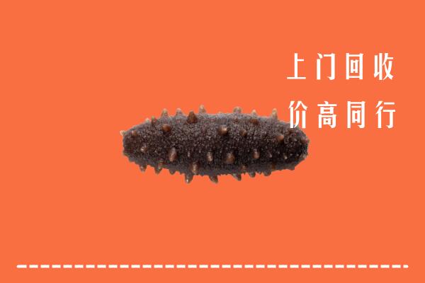 高价求购：遂溪县回收海参