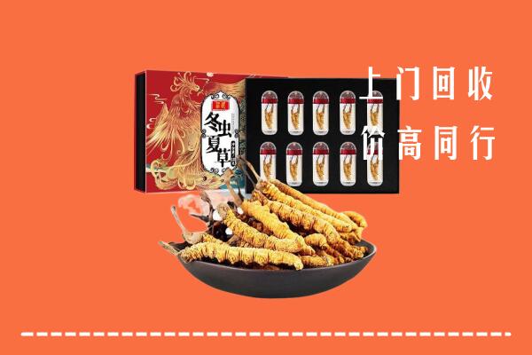 收购行情：遂溪县回收虫草